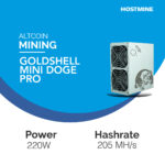 Goldshell MINI-Doge Pro (for hosting) 1