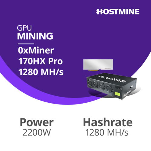 0xMiner 170HX Pro 1280 MH/s (for hosting) 10